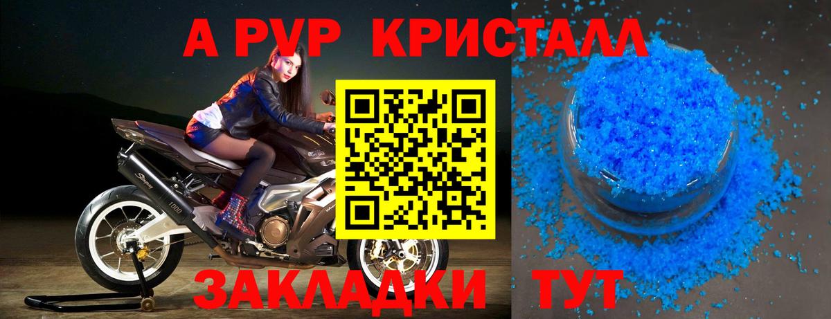A PVP СК КРИС Кузнецк
