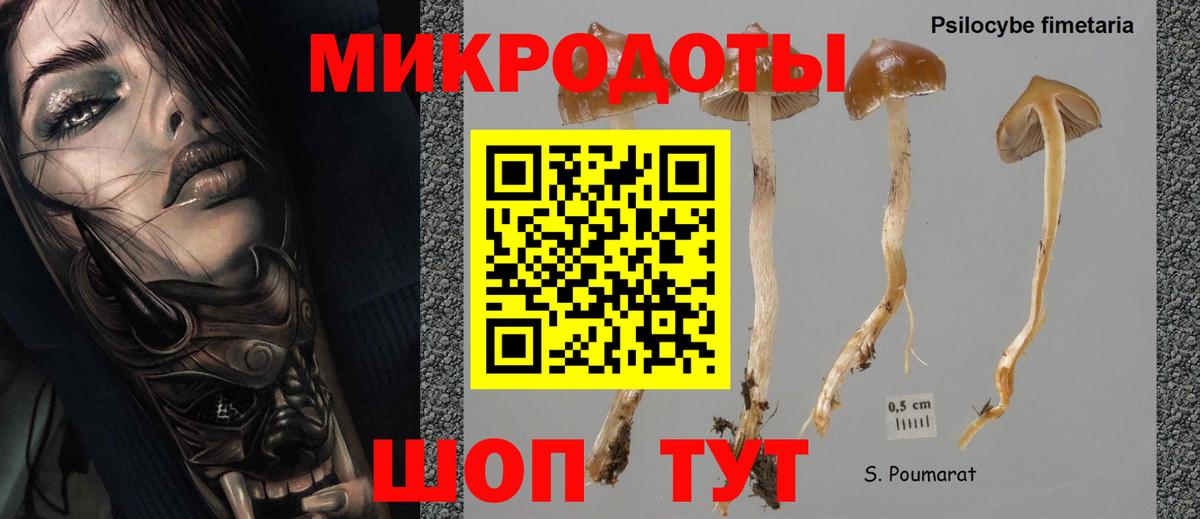 Галлюциногенные грибы мицелий Кузнецк